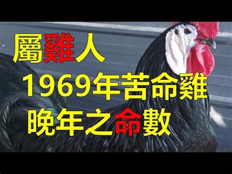 1969年屬雞|【1969年屬雞】1969年屬雞者趨吉避兇指南：2023